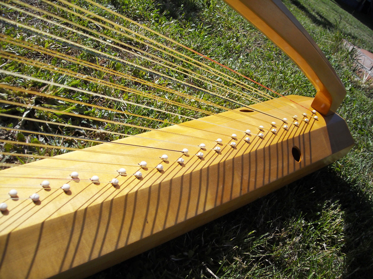 Double Renaissance Harp Bologna's Museum Marco Salerno Luthier