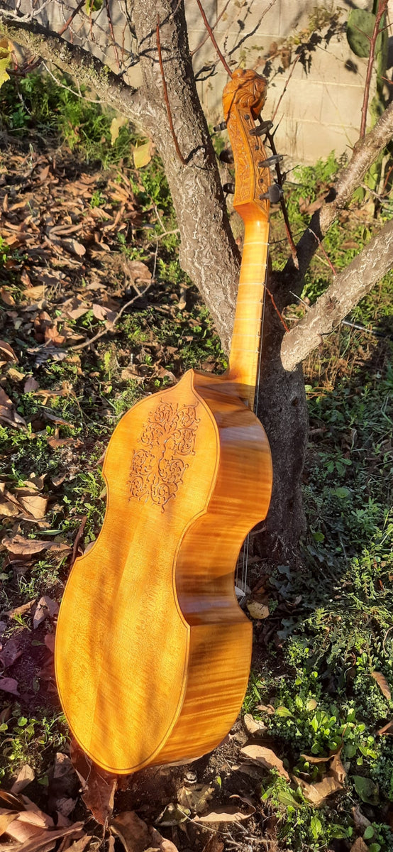 Viola de gamba baixa barroca Cheron – Marco Salerno Luthier