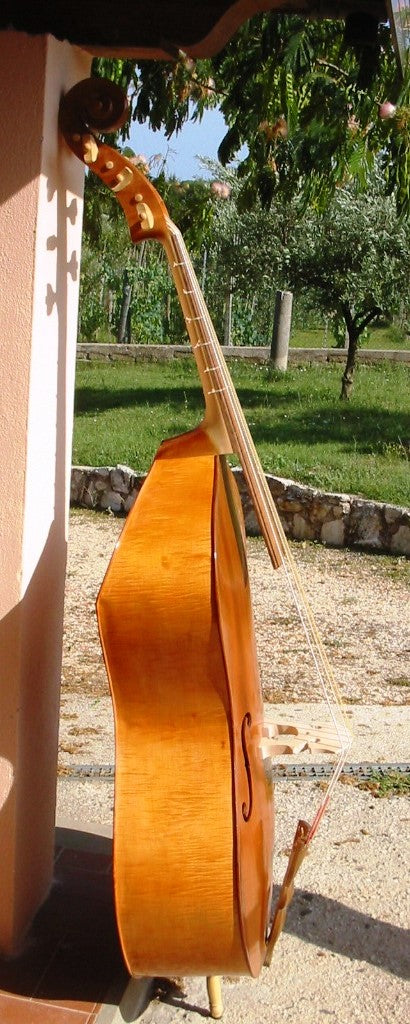Violone in re 104 cm