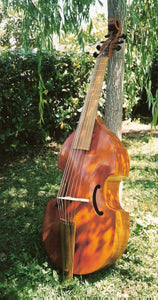 Baroque Bass Viol Collichon for Beginners