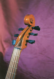Renaissance Bass Viol Gasparo da Salò