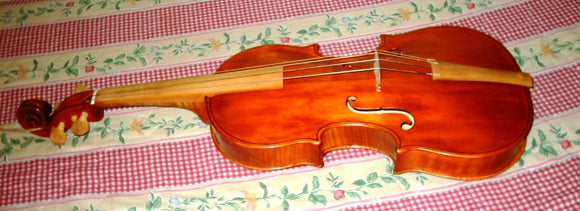 Viola Barocca amati