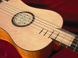 Baroque Guitar Stradivari