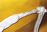 Medieval Parallel Harp