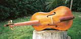 Renaissance Bass Gasparo da Salò for Beginners