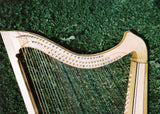 Triple Baroque Harp Trabaci