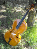 Piccolo Baroque Cello Amati