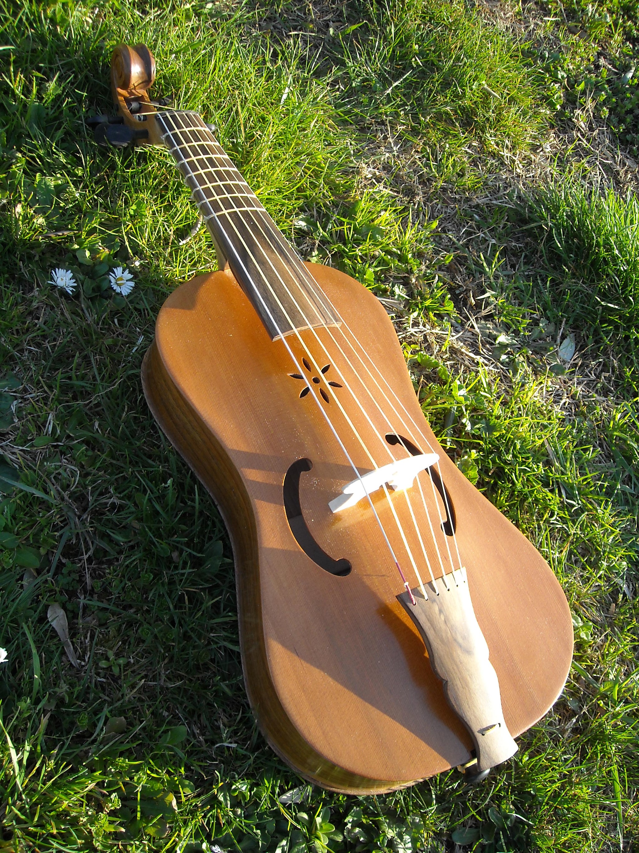 Savarez Cordes De Viole De Gambe A2 Darm BRH74 - Véritable Boyau Huilé Pour Viole Soprano