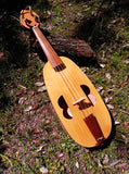 Fiddle Santiago de Compostela