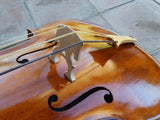 Baix de violí 4 cordes