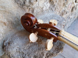 Basso di Violino 4 corde